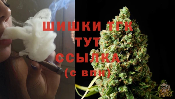 крисы Беломорск