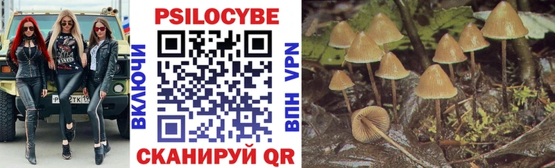 Галлюциногенные грибы Psilocybe  Мостовской 