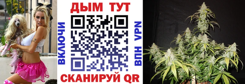 OMG ссылка  купить наркоту  Мостовской  Бошки марихуана семена 